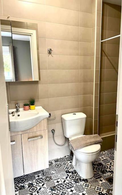 Chrysal Cozy Apartment Ioánnina Exteriér fotografie