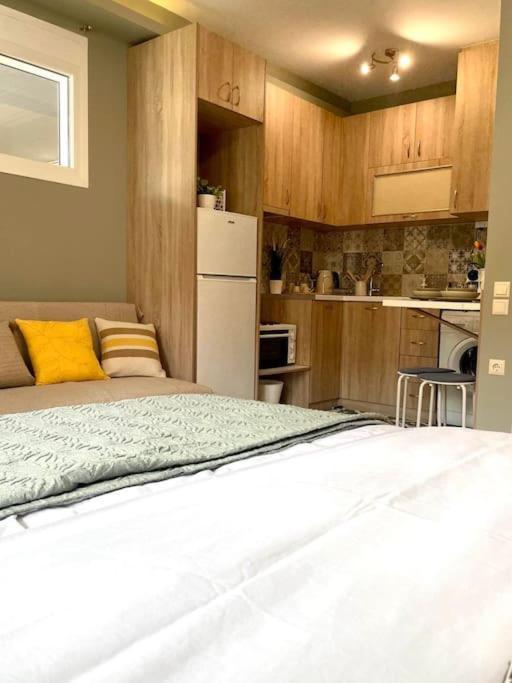 Chrysal Cozy Apartment Ioánnina Exteriér fotografie